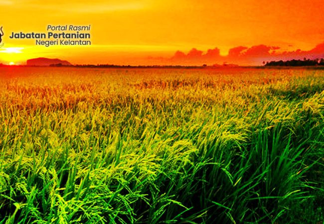 images/slideshow/banner1.jpg#joomlaImage://local-images/slideshow/banner1.jpg?width=1900&height=600